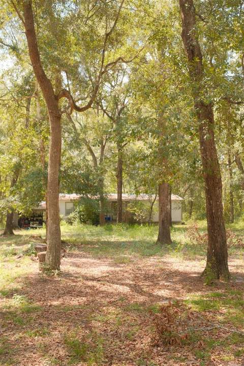 2327 NW 121st Avenue, Gainesville FL - photo 10 of 16