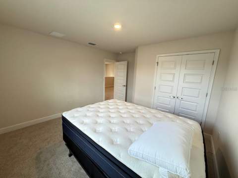 3828 Sagefield Drive, Harmony FL - photo 14 of 28
