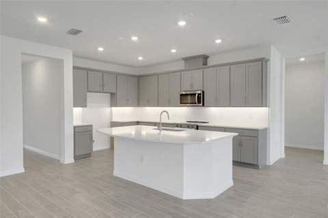 17453 Valleywood Parkway, Land O Lakes FL - photo 22 of 55