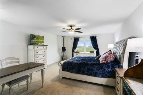 3877 Shoreside Drive, Kissimmee FL - photo 20 of 45