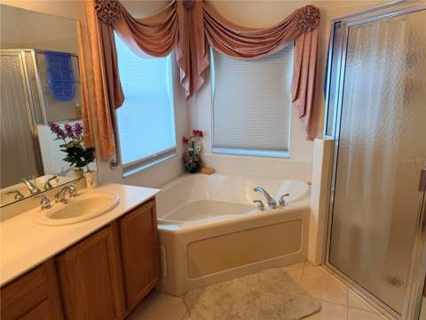 941 Shorehaven Drive, Kissimmee FL - photo 17 of 23