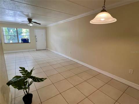 5221 Bayshore Boulevard #29, Tampa FL - photo 6 of 6