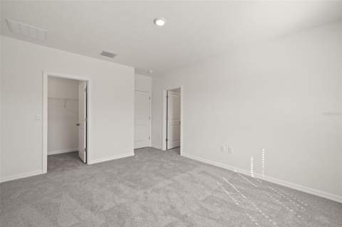 1393 Colt Creek Place, Wesley Chapel FL - photo 14 of 24