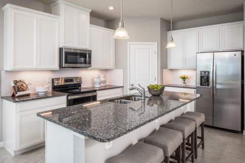 7374 SW 107th Lane, Ocala FL - photo 6 of 6