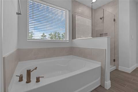 11821 Shine View Lane, Winter Garden FL - photo 22 of 77