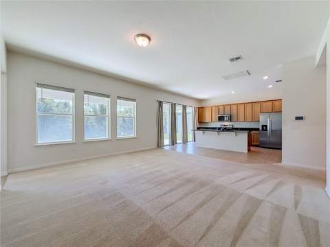 10079 Austrina Oak Loop, Winter Garden FL - photo 19 of 47