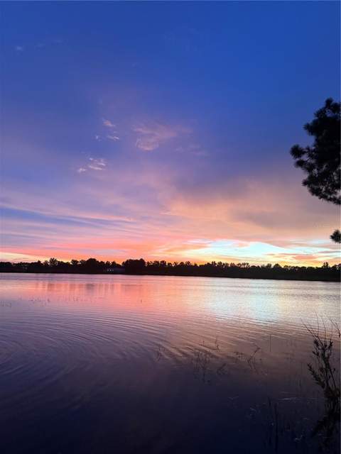 3412 Lake Diane Road, Tavares FL - photo 9 of 16