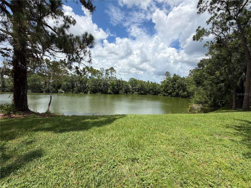 Lake ForestHomes for Sale in Lutz, FL