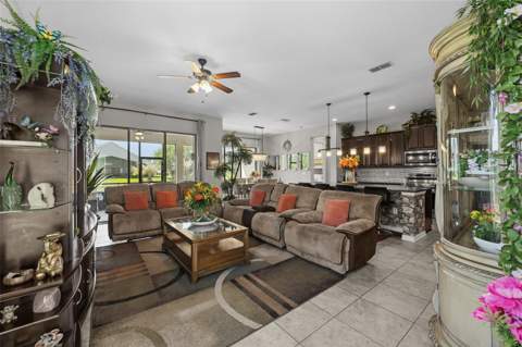 4501 Rolling Green Drive, Wesley Chapel FL - photo 7 of 54