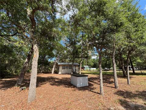 317 NE 172nd Avenue, Silver Springs FL - photo 6 of 6