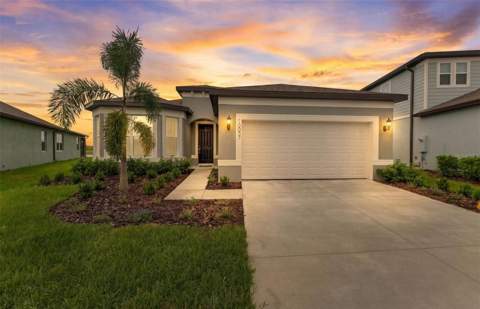 10037 Trellis Vine Way, Parrish FL - photo 19 of 20