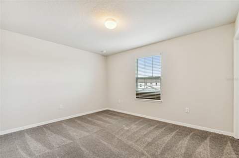 13718 Evergreen Valley Drive, Riverview FL - photo 17 of 37