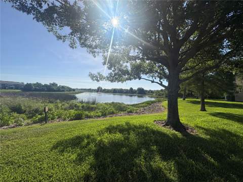 4605 Barnstead Drive, Riverview FL - photo 14 of 16