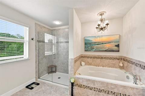 11156 Spring Point Circle, Riverview FL - photo 24 of 54