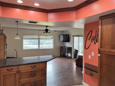 3922 Lake Joyce Drive, Land O Lakes FL - photo 12 of 63