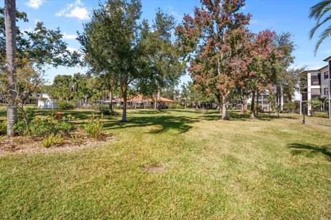 4910 Bay Street #105, St Petersburg FL - photo 17 of 22