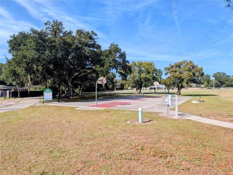 8410 Peterson Road, Odessa FL - photo 10 of 11