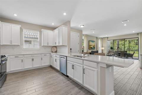 4333 Cairoli Court, Wesley Chapel FL - photo 7 of 99