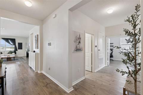 2429 Begonia Street, Mascotte FL - photo 19 of 35