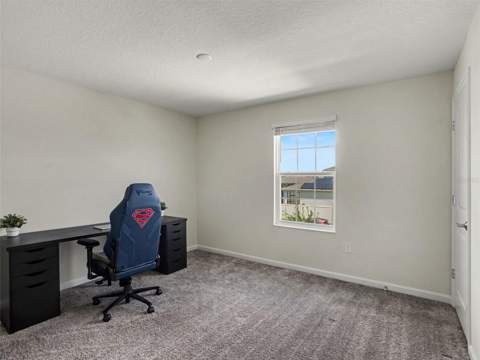 4469 Bluff Oak Loop, Kissimmee FL - photo 12 of 27