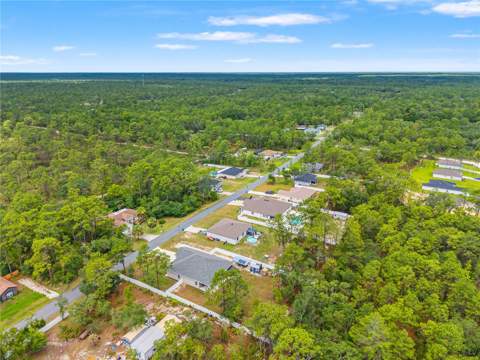 11153 Wood Owl Avenue, Weeki Wachee FL - photo 6 of 6