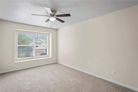 7249 Bridgeview Drive, Wesley Chapel FL - photo 19 of 26