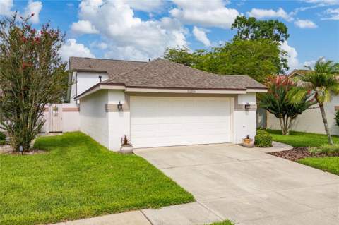 11206 Purple Plum Court, Orlando FL - photo 10 of 47