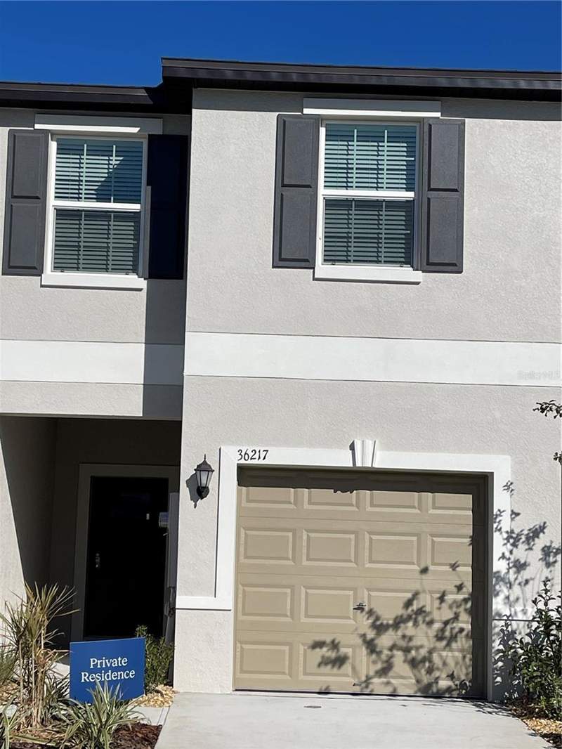 36217 RISA MICHELE STREET home for sale in Townes Windsong