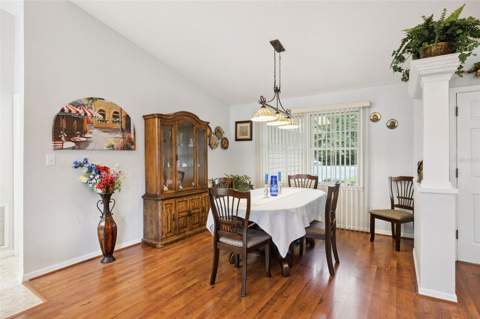 480 Lake Forest Circle, Mount Dora FL - photo 11 of 44