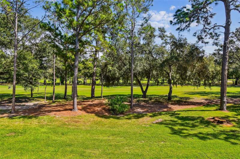 2 bedroom Condominium at 36750 US Highway 19 #19213, Innisbrook 19 Condo, Palm Harbor — photo 2
