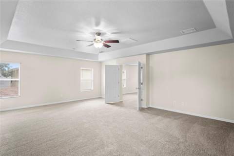 7249 Bridgeview Drive, Wesley Chapel FL - photo 13 of 26