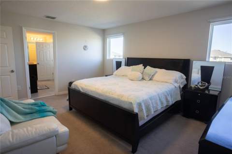 16461 Olive Hill Drive, Winter Garden FL - photo 20 of 41