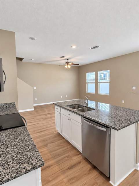 35139 White Water Lily Way, Zephyrhills FL - photo 6 of 37