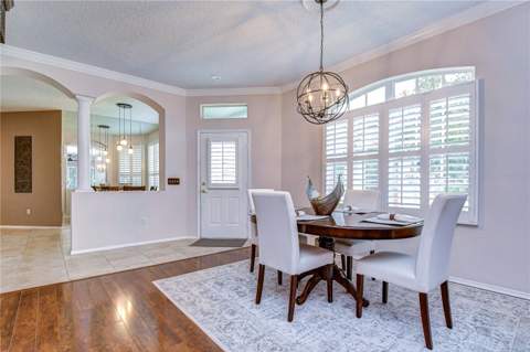 9815 Gingerwood Drive, Tampa FL - photo 18 of 48