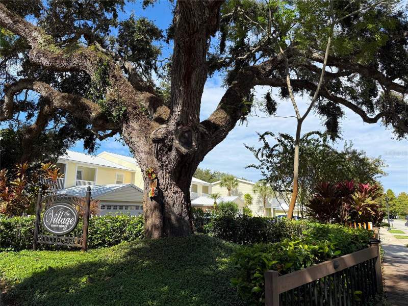 Village Of Safety Harbor