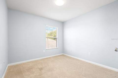 30419 Randall Manor Street, Wesley Chapel FL - photo 18 of 36