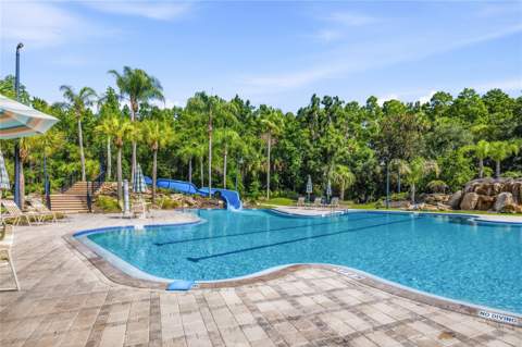 5125 Palm Springs Boulevard #1204, Tampa FL - photo 23 of 29