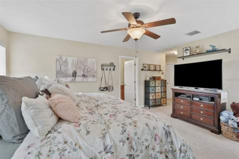 8718 Turnstone Haven Place, Tampa FL - photo 16 of 38