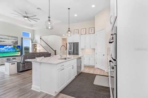 3847 Lajuana Boulevard, Wesley Chapel FL - photo 10 of 57
