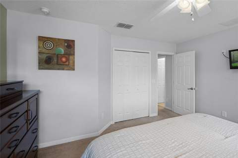 3083 Yellow Lantana Lane, Kissimmee FL - photo 13 of 49