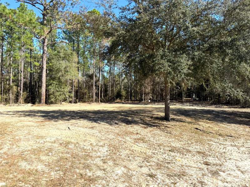 3 bedroom Single Family Residence at 1180 SW 158th Avenue, Rainbow Park Un 04, Ocala — photo 5