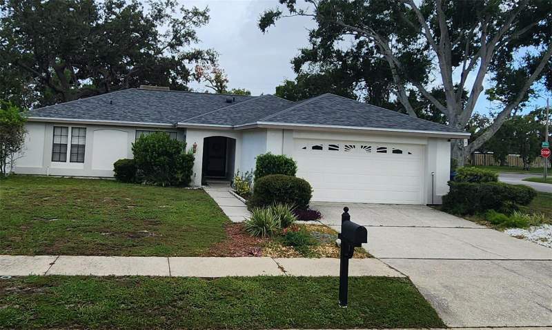 Amblewood Gulf Trace