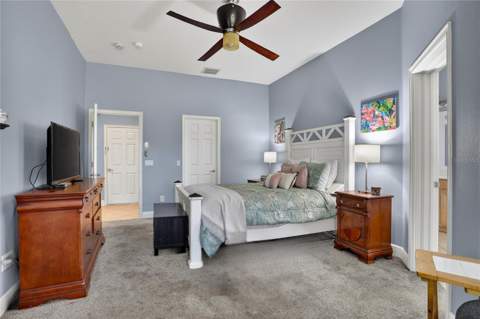 416 Manns Harbor Drive, Apollo Beach FL - photo 18 of 40