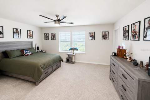 1959 Summer Serenity Drive, Kissimmee FL - photo 20 of 34