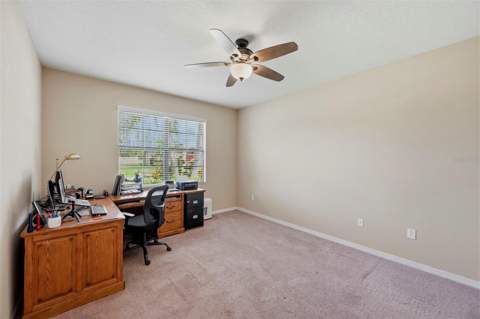 5009 Jagged Cloud Drive, Wimauma FL - photo 6 of 84