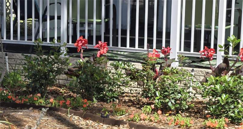 2 bedroom Manufactured Home at 6309 Grove Pointe Drive, Garden Grove Oaks, Winter Haven — photo 5