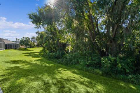 4358 Antietam Creek Trail, Leesburg FL - photo 9 of 53