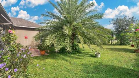 5203 Jasmine Trace Lane, Kissimmee FL - photo 23 of 36
