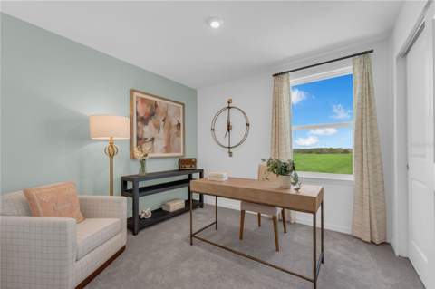 10067 Morning Meadowlark Trail, Parrish FL - photo 22 of 36