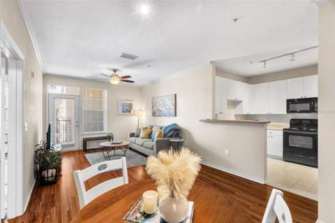 4221 W Spruce Street #1310, Tampa FL - photo 7 of 19